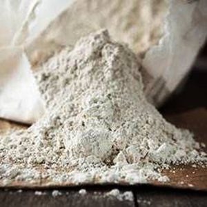 Tierra de Diatomeas Granel